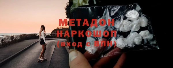 индика Алзамай