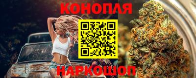 мяу мяу мука Шелехов