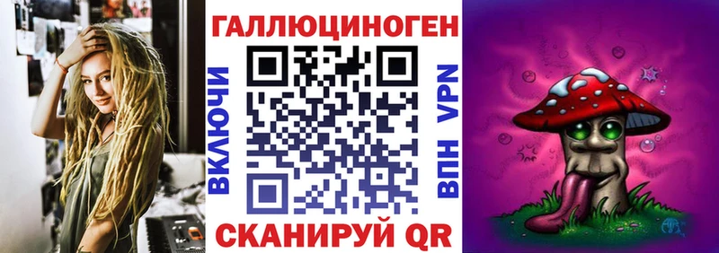 где купить Переславль-Залесский Галлюциногенные грибы Psilocybe